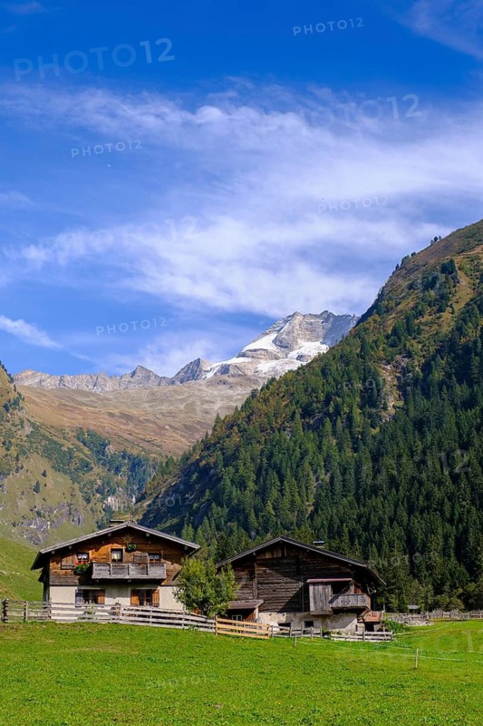 Flittner Alm, Innervals, Vals, Valser Tal, Valser Tal Natura 2000 nature reserve, Wipptal, Tyrol, Austria