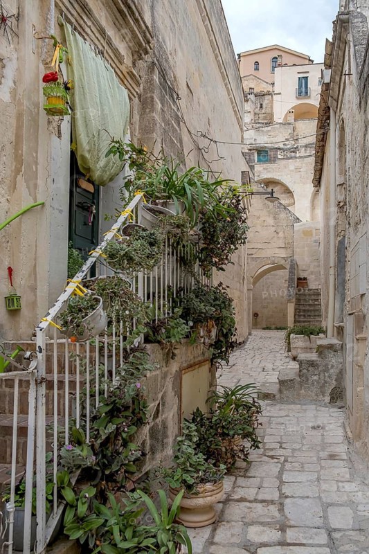 Narrow stone path with plants on a staircase, surrounded by old, weathered buildings in a Mediterranean setting, Matera historic centre, Basalicata, southern Italy, Italy