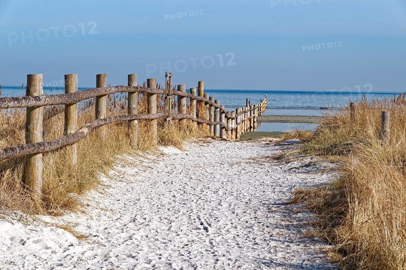 Landscape in the Western Pomeranian Lagoon Area National Park, core zone. Prerow, Mecklenburg-Western Pomerania, Germany
