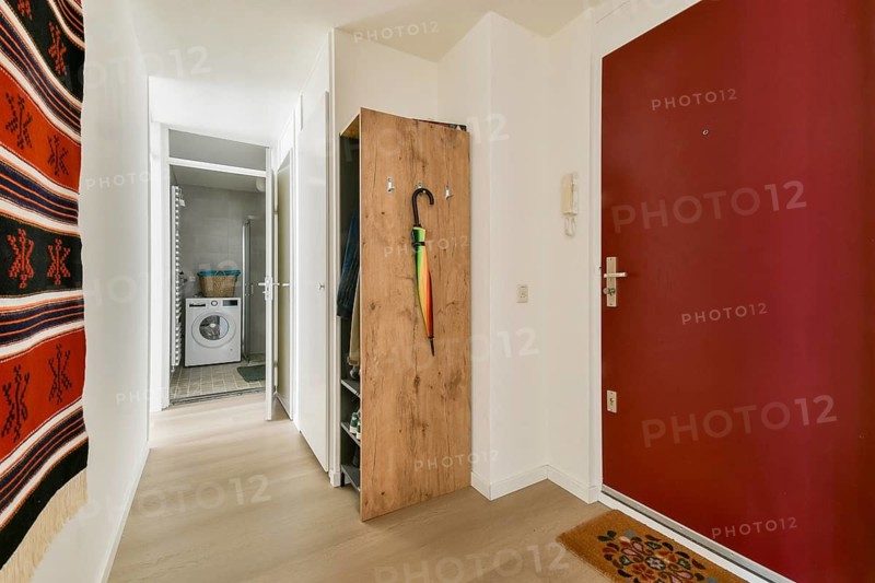 A contemporary entrance hall showcasing a striking color palette, functional storage solutions, and decorative accents, creating an inviting atmosphere