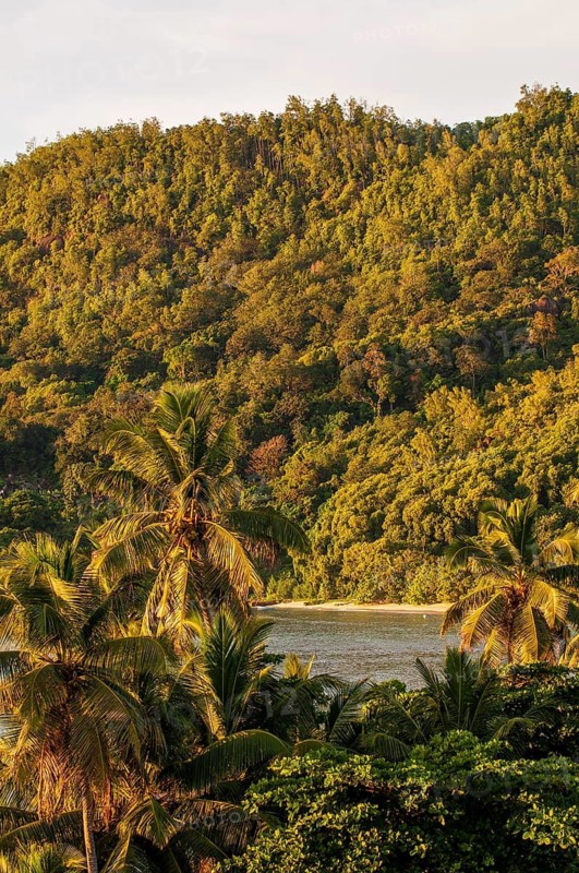 Anse La Liberte beach, Mahe, Republic of Seychelles, Indian Ocean