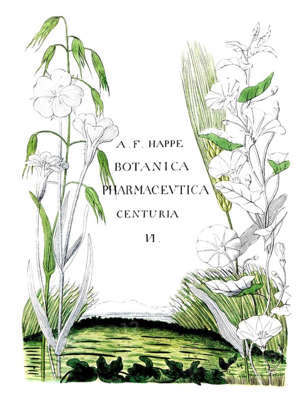 Cover picture of Botanica Pharmaceutica by Andreas Friedrich Happe, Volume VI, 1806, digital reproduction of a historical original, between 1790 and 1810