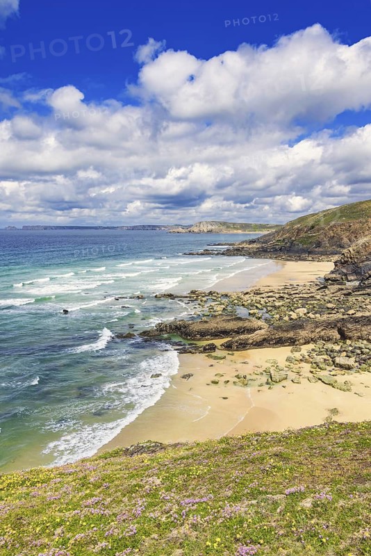 Awesome view at a rocky coastline with a flowering meadow and sandy beaches a beautiful sunny summer day by the sea, Crozon peninsula, Bretagne, France