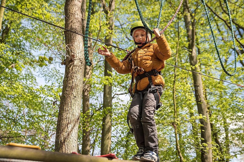 Portrait of cute little boy walk on a rope bridge in an adventure rope park