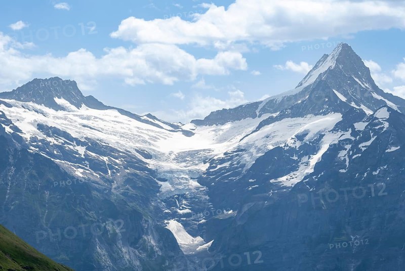 Upper Grindelwald Glacier and Schreckhorn Summit, Bernese Alps, Bernese Oberland, Switzerland
