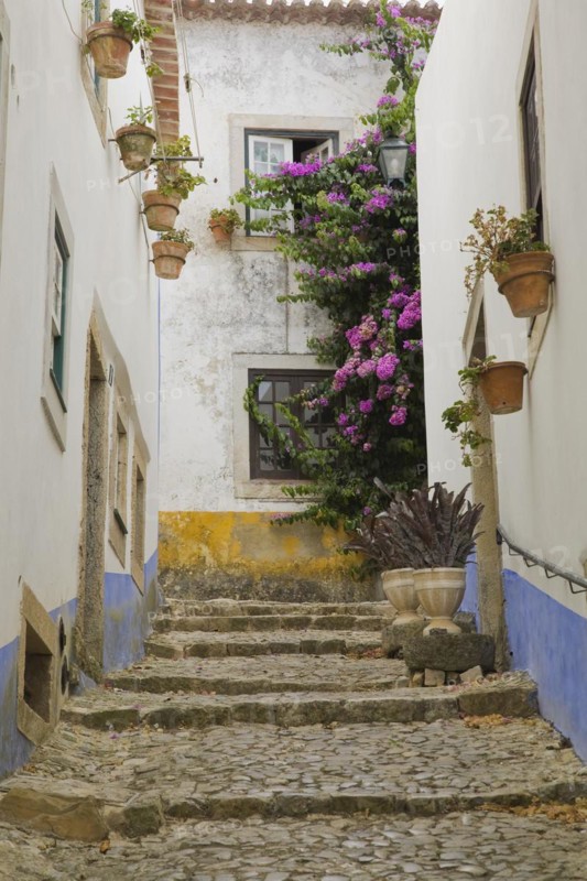 Old street with mosaic style paving stone stairs and white roughcast buildings with blue and yellow painted stripes, Medieval city of Obidos, Portugal