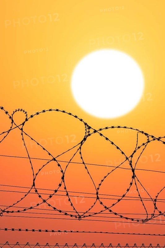 Symbolic image imprisonment, barbed wire fence in front of the sun, sunset, protective fence, locked in, locked out, Baden-Württemberg, Germany