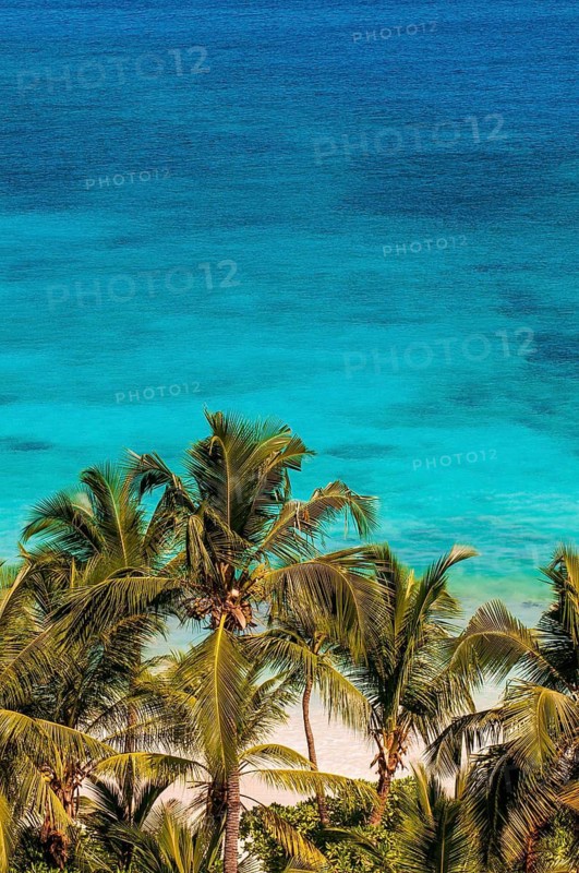 Petit Anse Beach at the Four Seasons Resort, Mahe, Republic of Seychelles, Indian Ocean