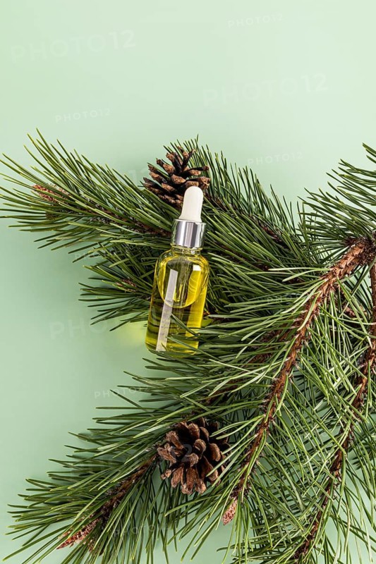 Top view of a coniferous setup featuring an essential oil dropper bottle surrounded by pine branches and cones on a green background, representing natural cosmetic or therapeutic products