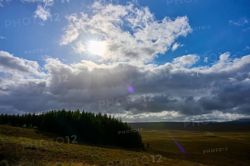 Sunshine and clouds over a forest on a clear sky, Lairg, Scotland, United Kingdom, Great Britain
