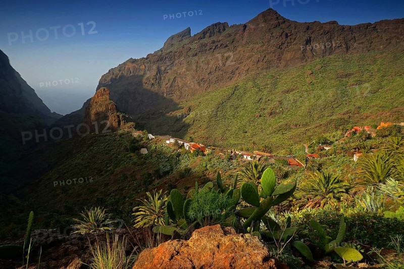 Canary Islands, Tenerife, Masca, Tenerife, Canary Islands, Spain