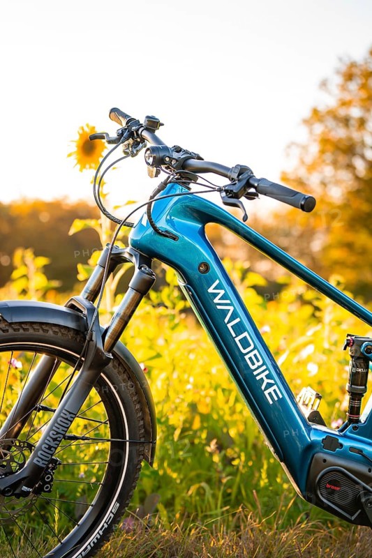 Blue e-bike in a field of flowers with sunflower, surrounded by warm evening light, e-bike, forest bike, Calw, district of Calw, Black Forest, Germany