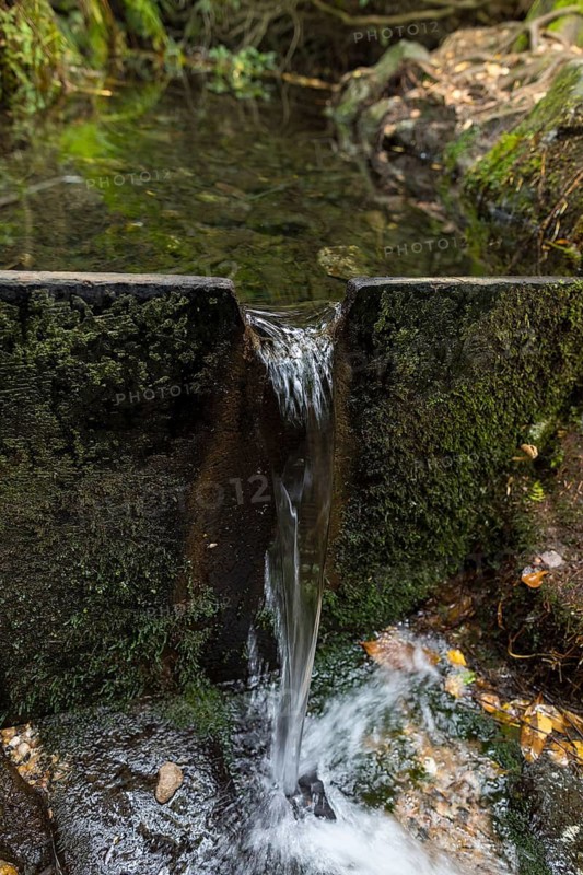 Black water spring near Jonsdorf, Zittau Mountains, Saxony, Germany