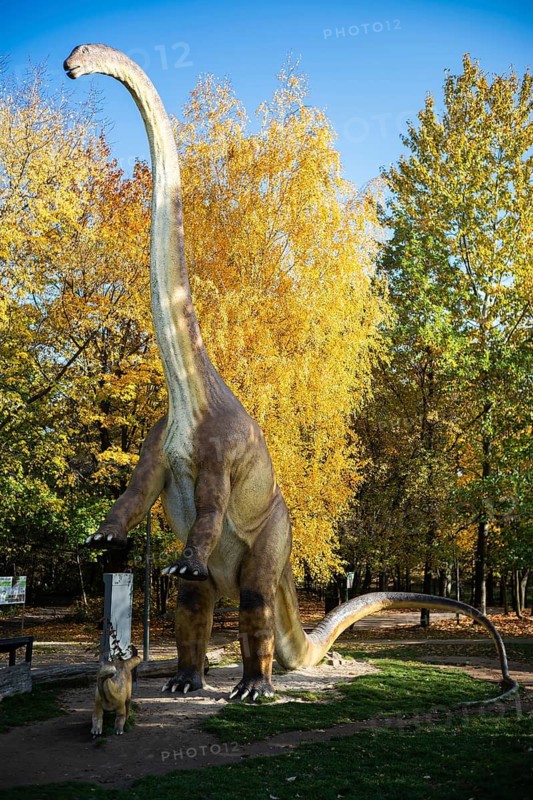 LUBIN, POLAND - OCTOBER 28, 2024 - Realistic model of dinosaur in Park Wroclawski. Park is well known tourist attraction for children in this region of Poland.