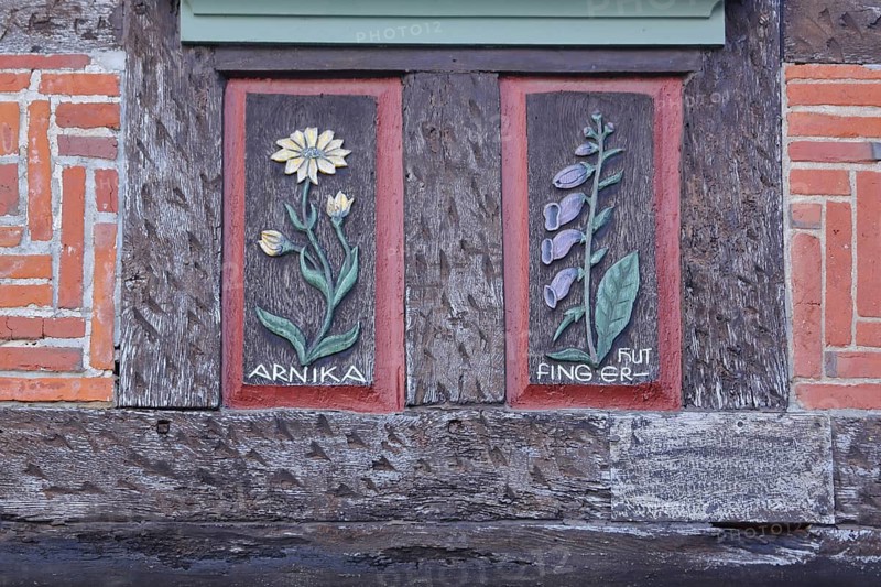 Wood carvings with arnica and red thimble, flower figures, historic half-timbered house, handicrafts, painting, brick house, Arnica montana, Arnica montana, inscription, Babenhausen, Hesse, Germany
