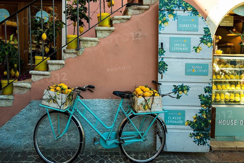 Bicycle and lemons, Limone sul Garda, Lake Garda, Brescia Province, Lombardy Region, Italy