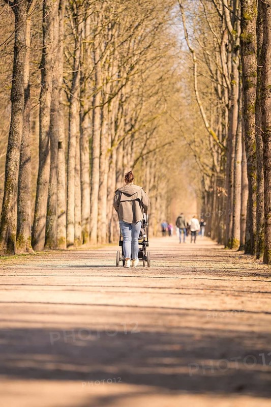 Pedestrians with prams on a tree-lined avenue, Schwetzingen Palace Gardens, Germany