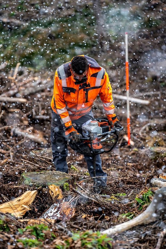 Reforestation in the Arnsberg Forest near Warstein-Sichtigvor, Soest district, forestry workers drill holes in the forest floor to plant young deciduous trees on the site of a spruce forest that had died and been felled due to heavy bark beetle infestation, North Rhine-Westphalia, Germany