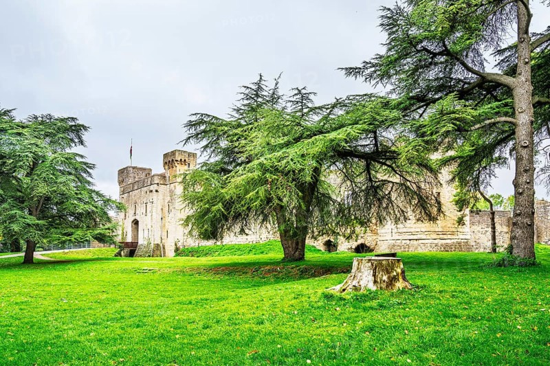Caldicot Castle, Caldicot, Monmouthshire, Wales, UK