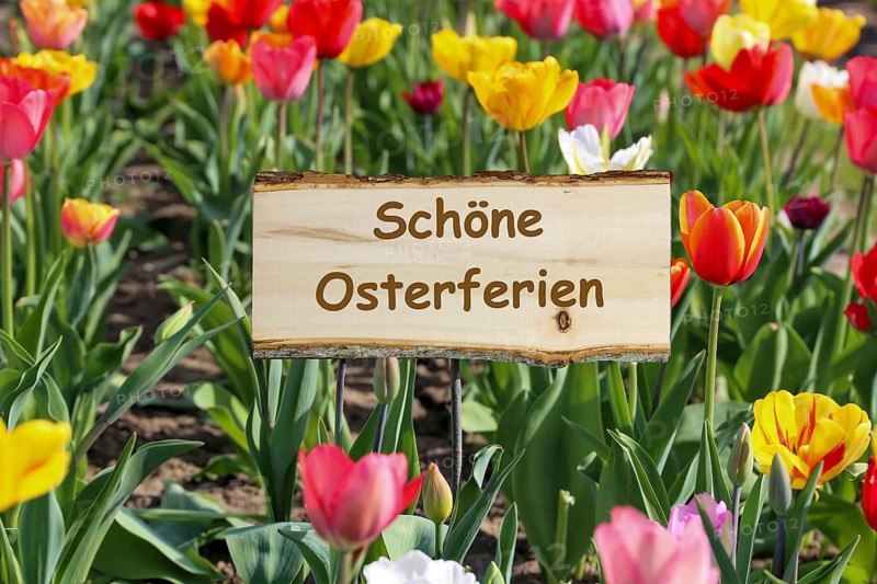 (Photo montage) Sign with the inscription HAPPY EASTER HOLIDAYS in a tulip field