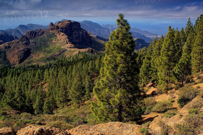 Canary Islands, Gran Canaria, Roque Niblo, View, Gran Canaria, Canary Islands, Spain