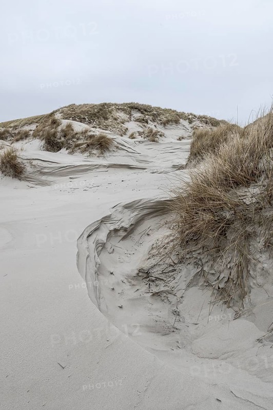Dune landscape, Amrum, Schleswig-Holstein, Germany