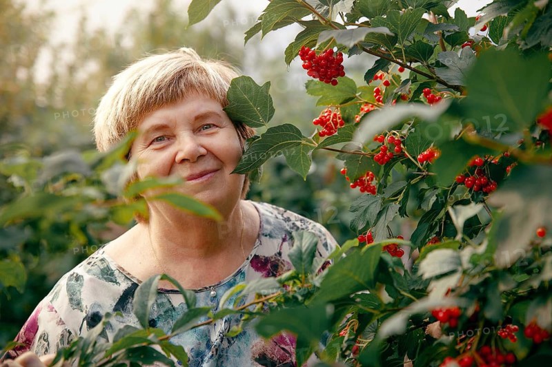 An elderly woman stands amid lush foliage and bright red berries in a vibrant garden in Khakassia, South Siberia, Russia, capturing the essence of serene rural life