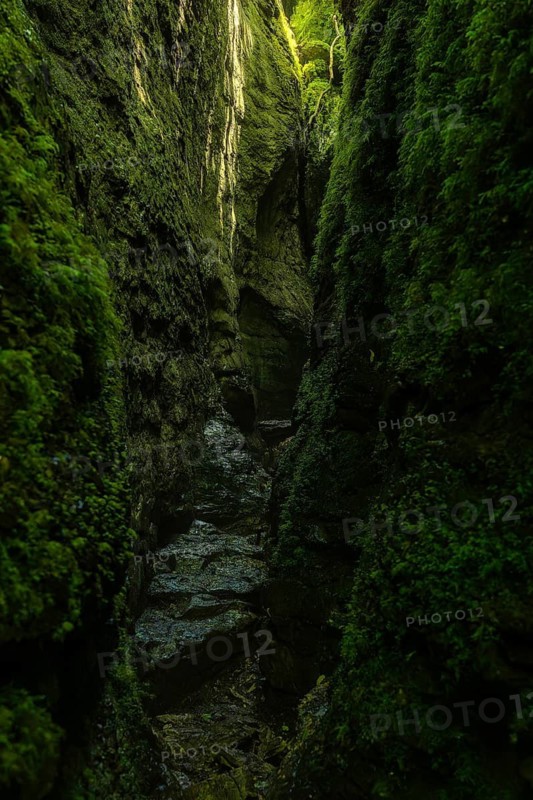 Explore a serene deep forest path in Sierra de Urbasa, Navarra, Spain. The lush greenery and towering rock walls create a mystical and tranquil natural atmosphere