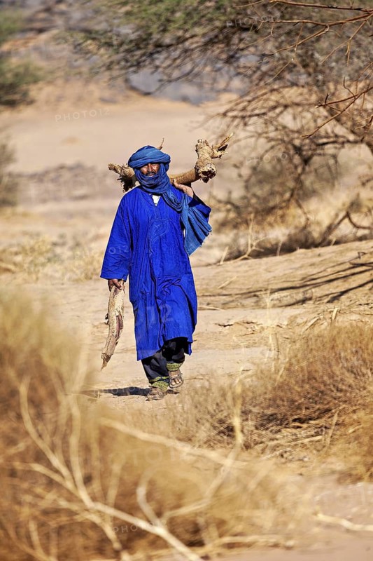 Man in blue robe and turban walking through a dry desert landscape, carrying branches on his shoulder, Tuareg collecting firewood in the Sahara in Algeria
