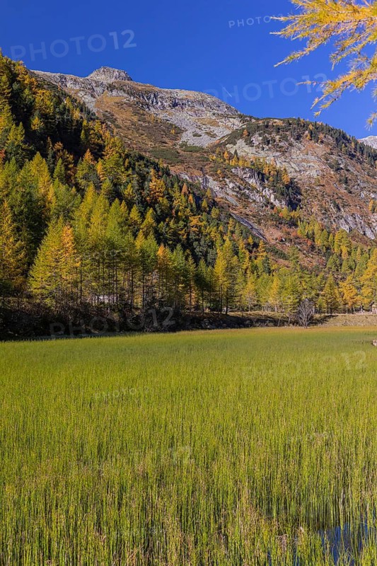 Little pond of the Malta river with a mountain forest in fall foliage on a bright sunny morning. Seen from the Malta Hochalm road. Carithia, Austria