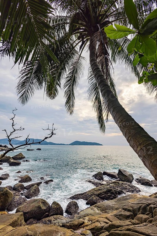 Wild beach with surf on the coast facing the Indian Ocean. Palm trees and high waves at sunset. Patong, Kathu, Phuket Island, Thailand