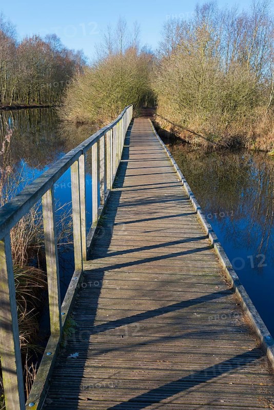 Bridge, De Deelen, landscape conservation area, nature reserve, Luinjeberd, Lúnbert, Heerenveen, Friesland, Netherlands
