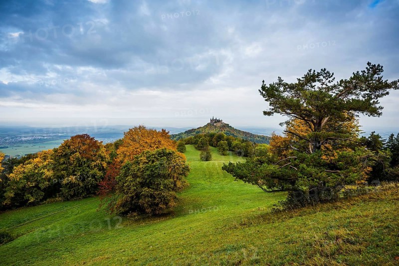 Castle and autumnal forest, Hohenzollern Castle, Hechingen, Swabian Jura, Baden-Württemberg, Germany