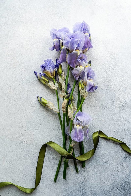 Top view of a bouquet of delicate iris flowers paired with a green ribbon, artistically arranged on a gray textured background, ideal for elegant floral themes and interior decor