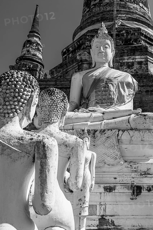 Stone Buddha statues, historic Buddhist temple complex, black and white photo, Ayutthaya, Thailand