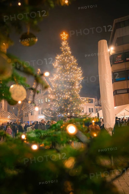 Illuminated Christmas tree with green branches in a nocturnal scene, Christmas market, Nagold, Black Forest, Germany