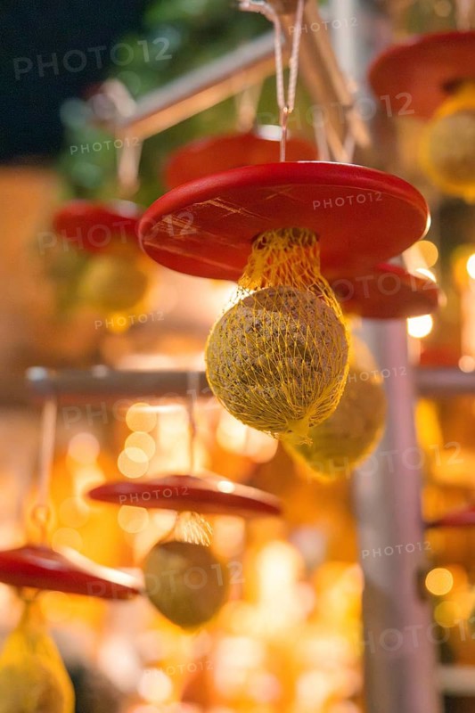 Warm festive decor with red and yellow tones, illuminated by lights, Christmas market, Nagold, Black Forest, Germany