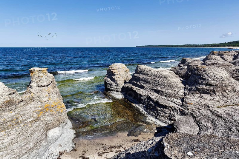 Byrums raukar, Rauken von Byrum, limestone pillars, nature reserve, coastline, west coast, Kalmarsund, Baltic Sea, Öland island, Kalmar län, Sweden