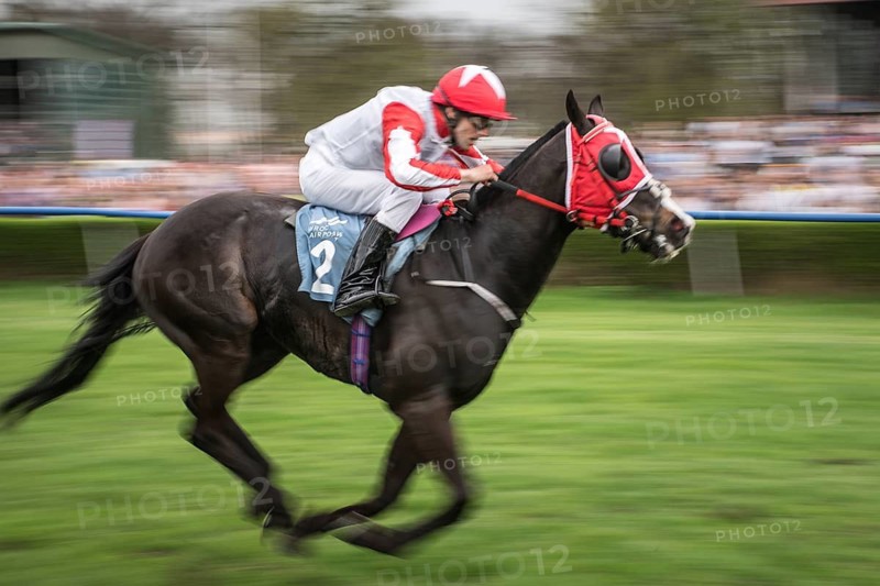 WROCLAW, POLAND - APRIL 15, 2018: Student race at horses racecourse WTWK Partynice. The opening day of the season.In action K. Brygier on the horse Baahy