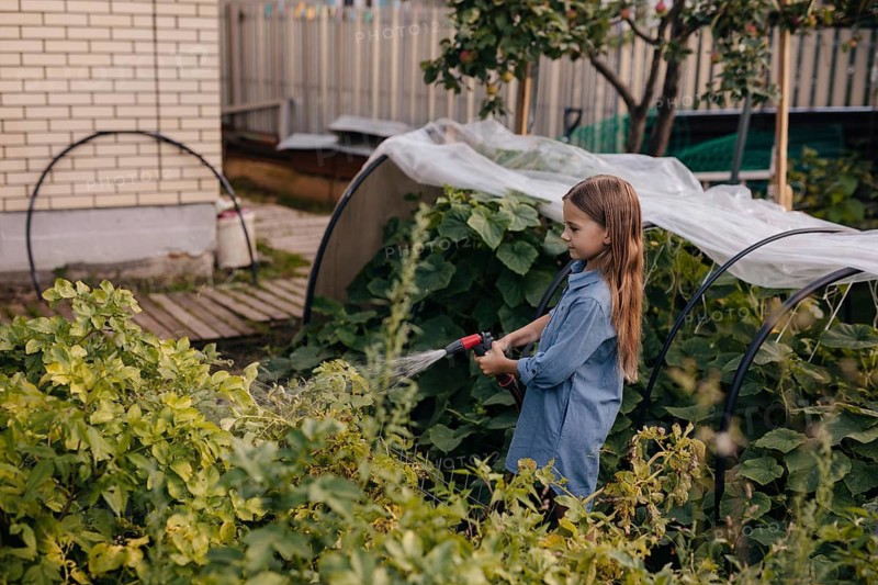 A young girl waters plants with a hose in a vibrant garden. She surrounded by lush greenery and a small greenhouse structure, indicating a peaceful outdoor activity