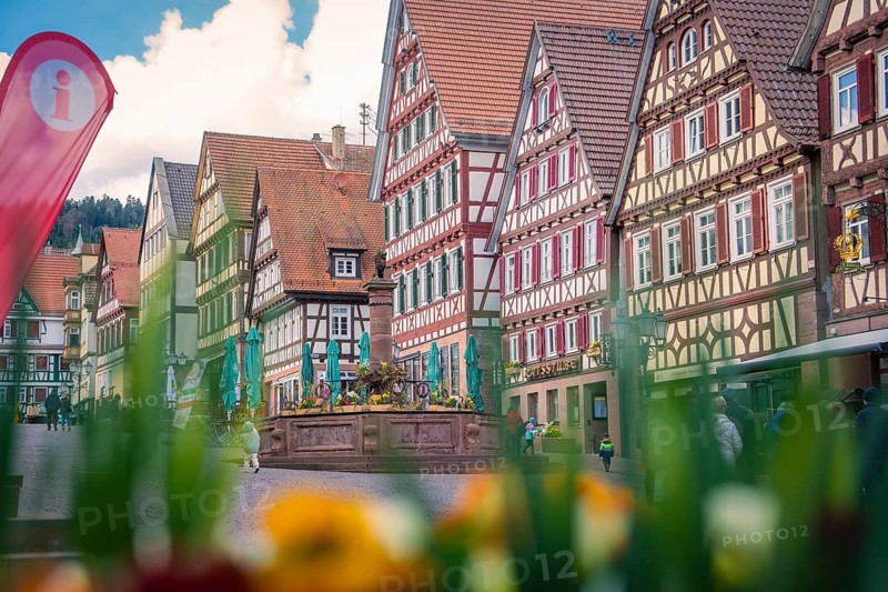 Lively street scene with flowers and half-timbered houses, an information sign in the foreground, Calw, Black Forest, Germany