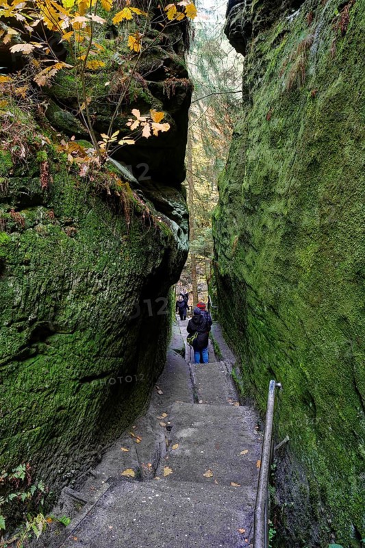 Hiking trail through the Schwedenlöcher, Amselgrund near Rathen, Saxon Switzerland, Elbe Sandstone Mountains, Saxony, Germany