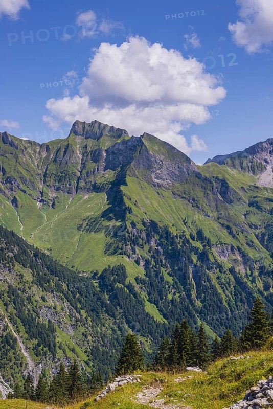Panorama from Riefenkopf, 1748m to Schneck, 2268m, Allgäu Alps, Allgäu, Bavaria, Germany