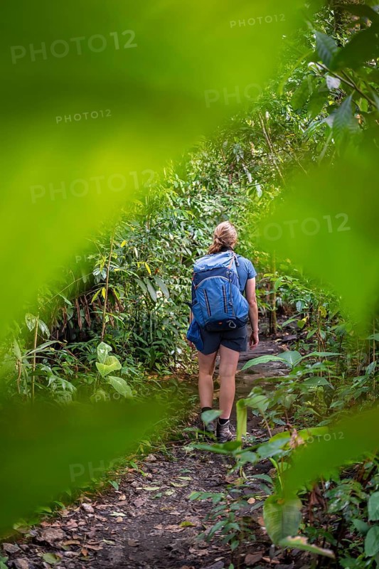 Tourist exploring rainforest, dense vegetation, Tortuguero National Park, Costa Rica