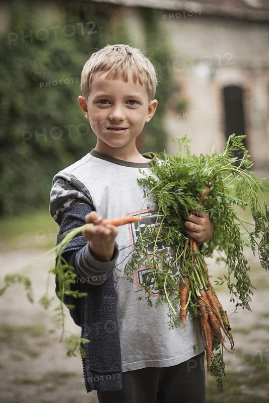 Young boy with fresh carrots in the country yard