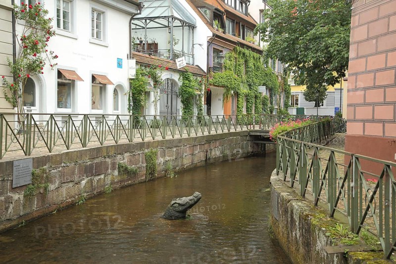 Gewerbebach with railing and crocodile sculpture by Ole Meinecke 2002, modern art, looking out of the water, canal, idyll, Gerberau, Freiburg, Breisgau, Südschwarzwald, Black Forest, Baden-Württemberg, Germany