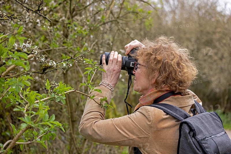 Woman photographing blossoms, waterfront, Stratford-upon-Avon, England, Great Britain