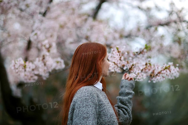 A woman with long red hair gently touches cherry blossoms, embracing the tranquility of a Japanese garden during sakura season. Soft light captures this serene moment