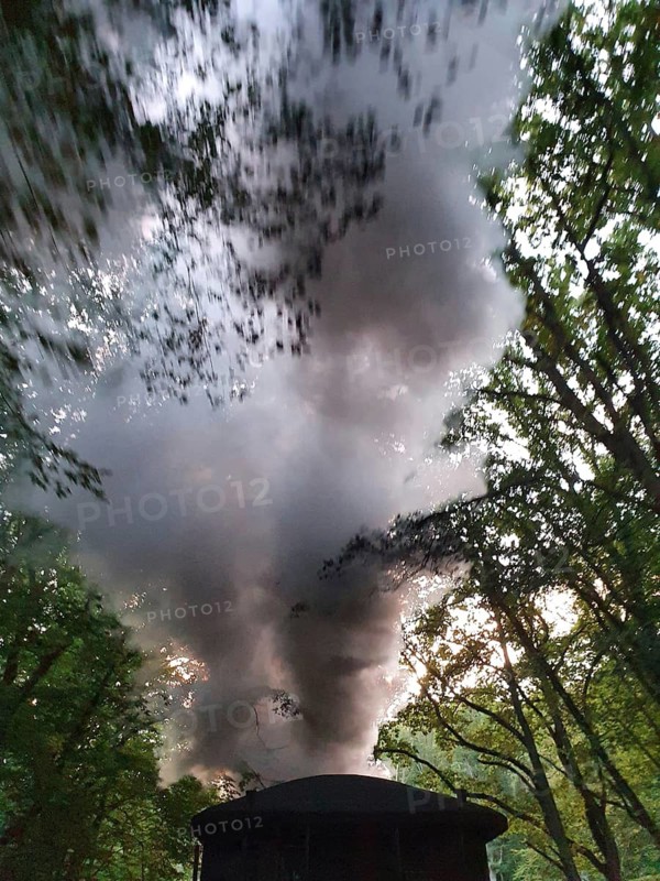 A historic steam locomotive produces a large cloud of smoke and drives through a wooded landscape, speeding Roland, Rügen