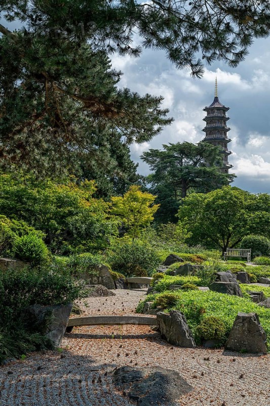 View of the Great Pagoda from the Japanese Garden, Royal Botanic Gardens (Kew Gardens), UNESCO World Heritage Site, Kew, Greater London, England, United Kingdom